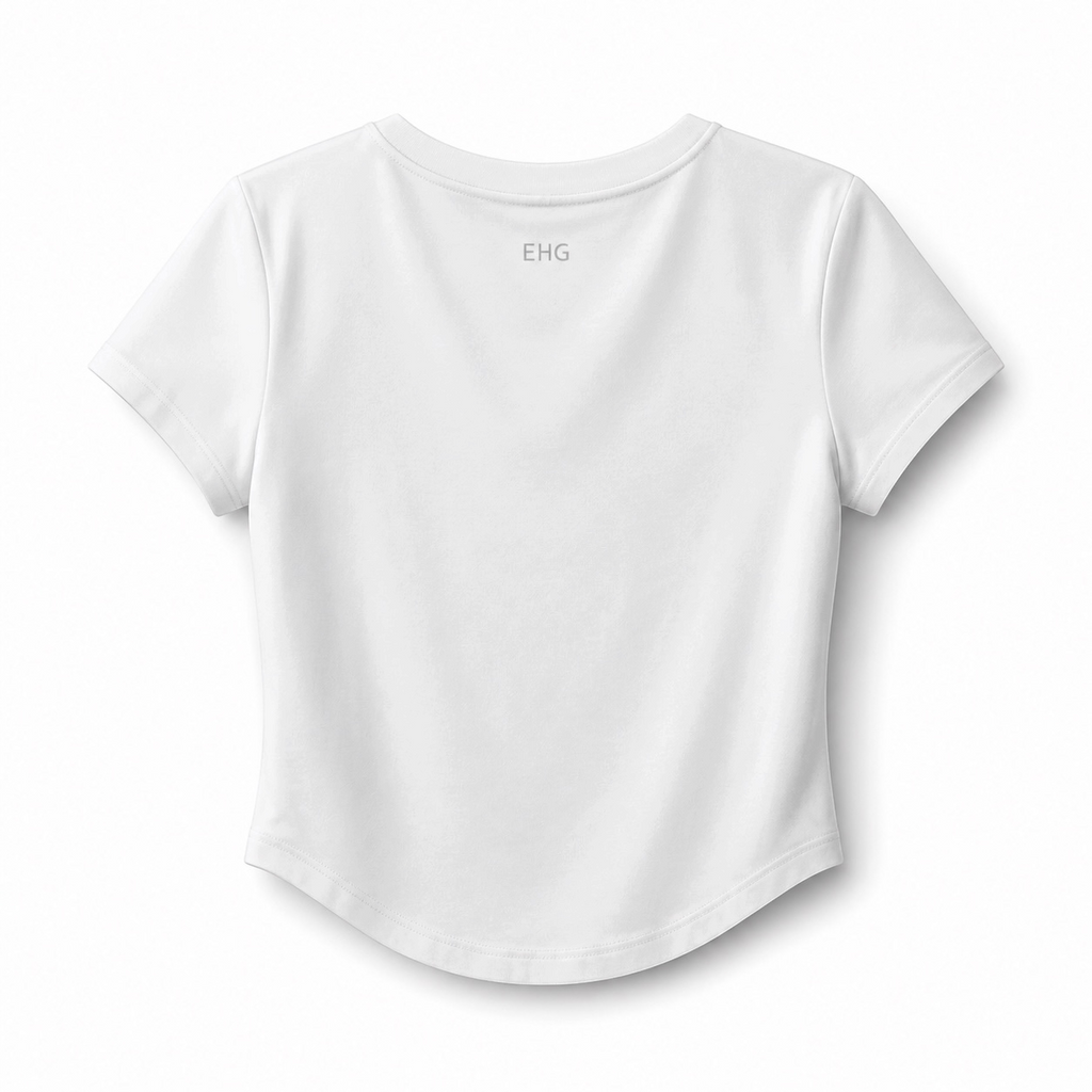 EHG Paneled Crop T-Shirt